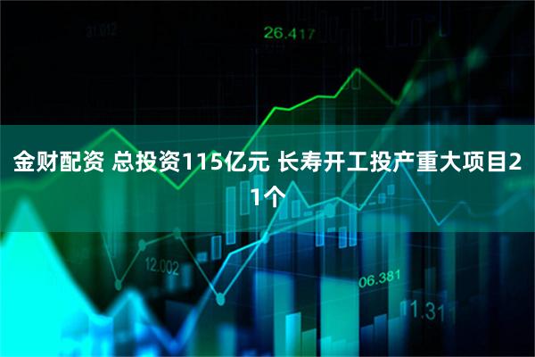 金财配资 总投资115亿元 长寿开工投产重大项目21个