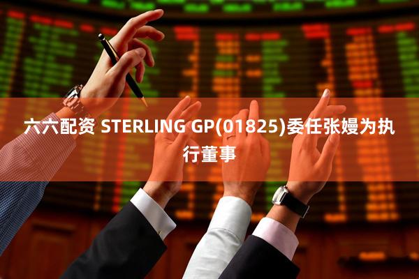 六六配资 STERLING GP(01825)委任张嫚为执行董事