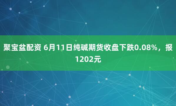 聚宝盆配资 6月11日纯碱期货收盘下跌0.08%，报1202元